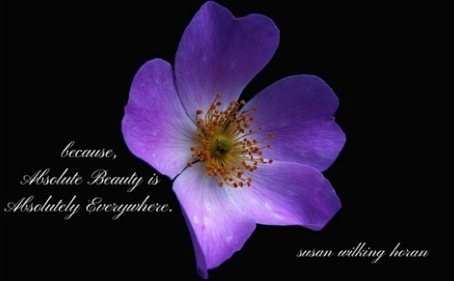 Author and Wellness advocate