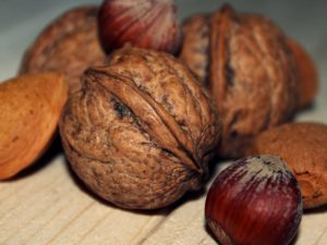 walnut-570416_1280-300x225